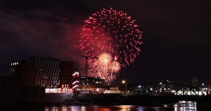 Canada Day fireworks and pets: How to keep your furry friend safe – National