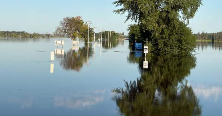 Assiniboine River crested overnight, Brandon mayor says – Winnipeg