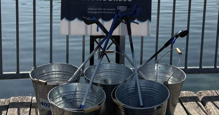 GTA environmental group nears milestone of 10 million litter pieces picked