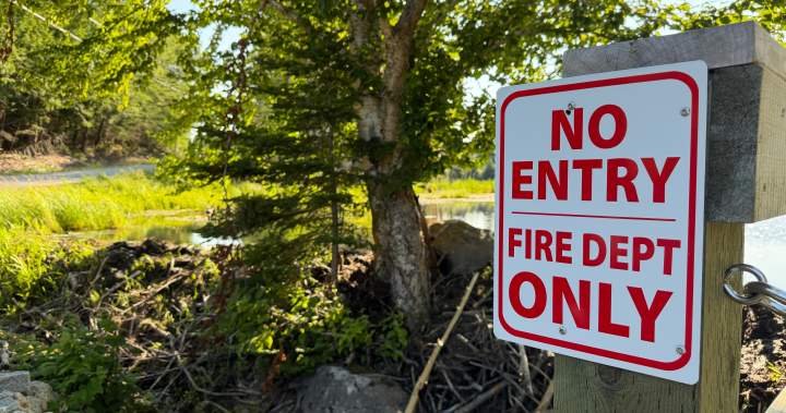Beavers and a Tim’s card: a very Canadian solution to a firefighting challenge – Halifax