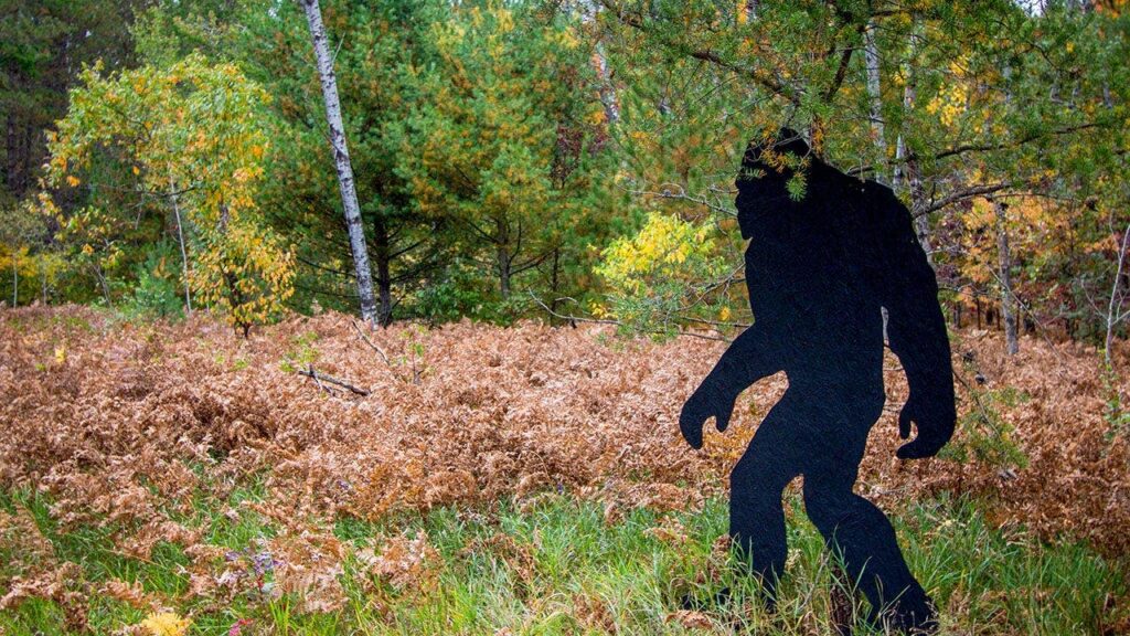 Witness recounts Fourth of July weekend Bigfoot sighting in Connecticut, says ‘there were no boobs’