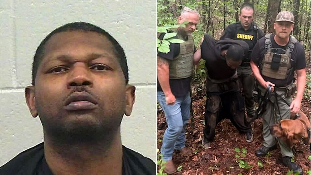 Bloodhound K-9 aids in Georgia manhunt that leads to shooting suspect’s arrest