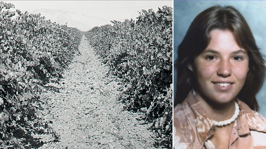 Girl buried beneath vineyard identified after 48 years as cops hunt killer
