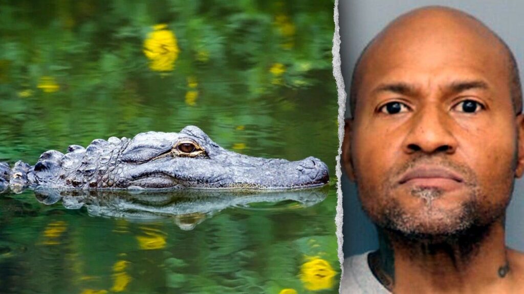 Maryland landlord arrested for assault had guns, alligator and emu on property