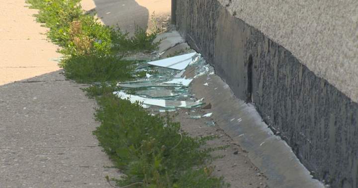 Winnipeg mosque was likely shot at with pellet-style gun, police say – Winnipeg