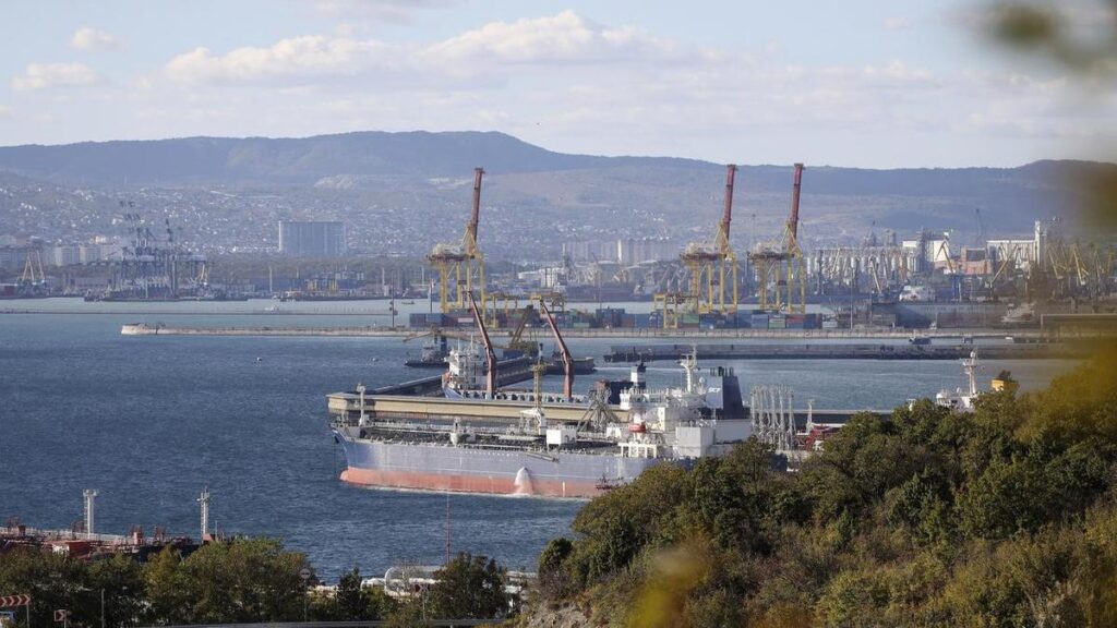 Ukrainian attacks pushing up global food prices: Russia