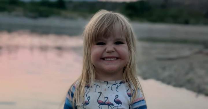 Conservation officers continue search for bear after Maple Ridge girl attacked – BC