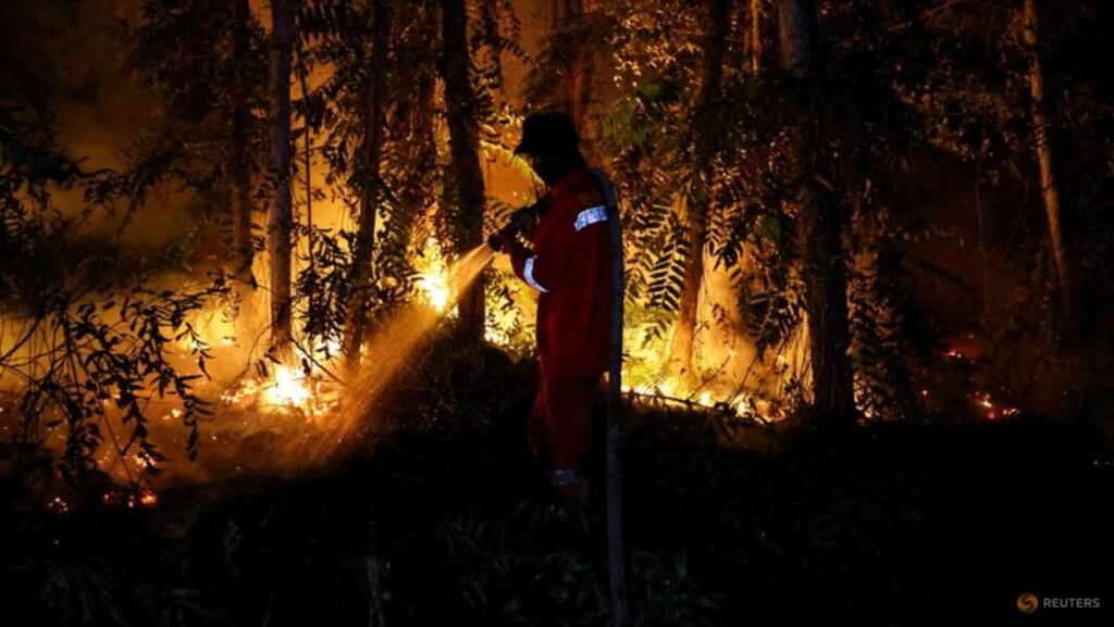Indonesia’s forestry ministry processes 42 forest fire cases, sanctions six companies