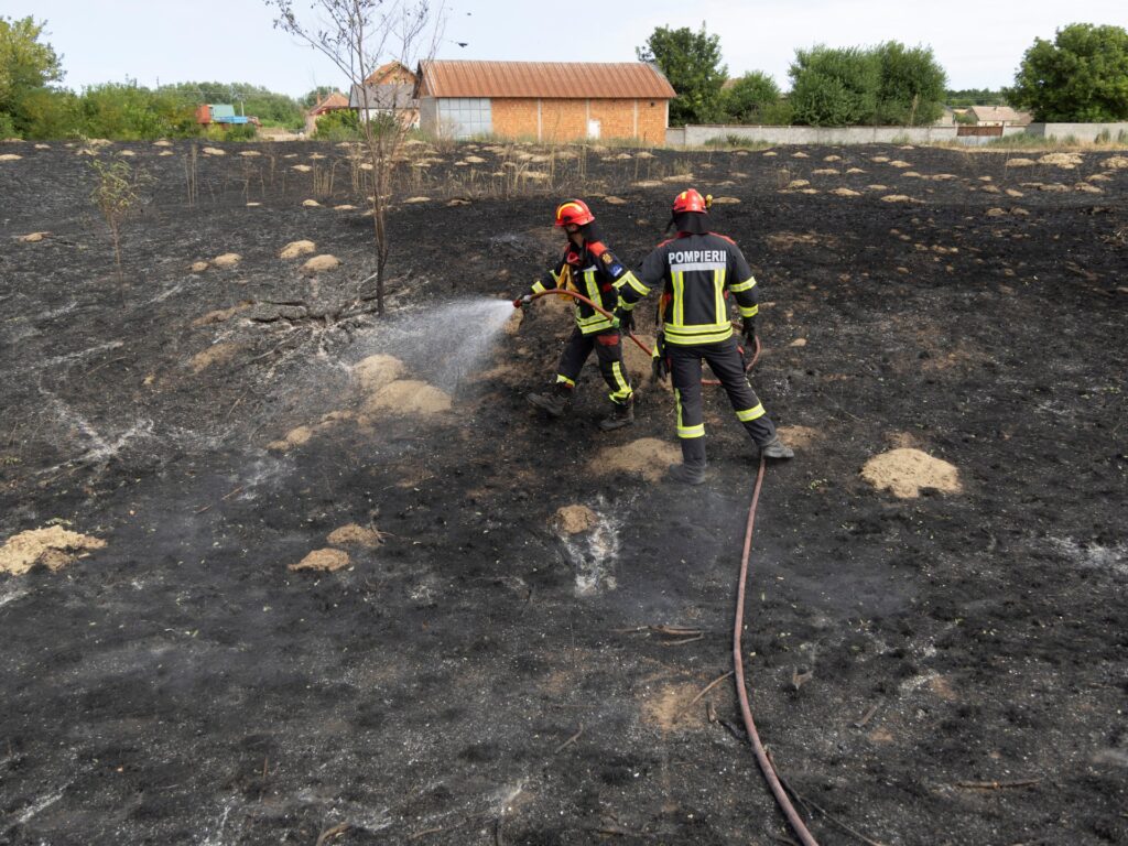 EU, Russian aircraft help Serbia battle wildfires | Climate News