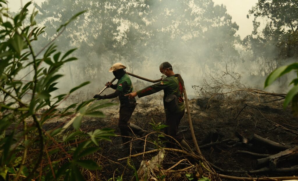 ‘Everything is covered in ash’: Indonesia wildfires leave people in crisis | Climate News