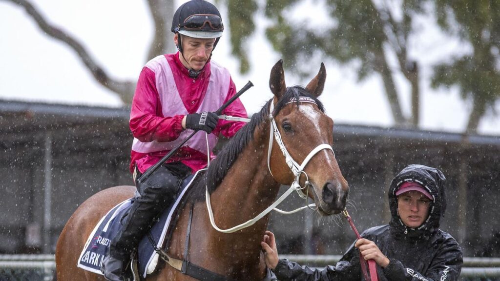 Cosmic Crusader confirms himself as one of the nation’s best gallopers as he wins Caulfield Group 2