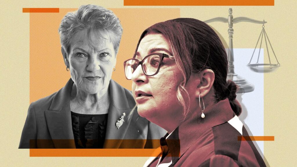 Pauline Hanson takes Mehreen Faruqi racial discrimination case to High Court