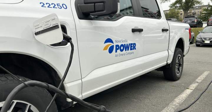 Nova Scotia Power doesn’t know why hacked customer data wasn’t previously deleted – Halifax