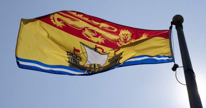 New Brunswick horse owners warned about potential virus exposure – New Brunswick