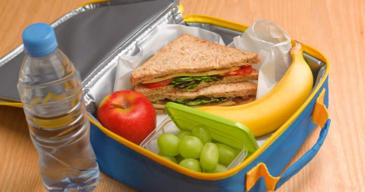 Back-to-school lunches need ‘flexibility’ amid uneven food prices: report – National