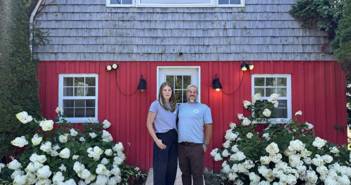 Quebec farmers speak out after fraud leaves them with $27K loss – Montreal