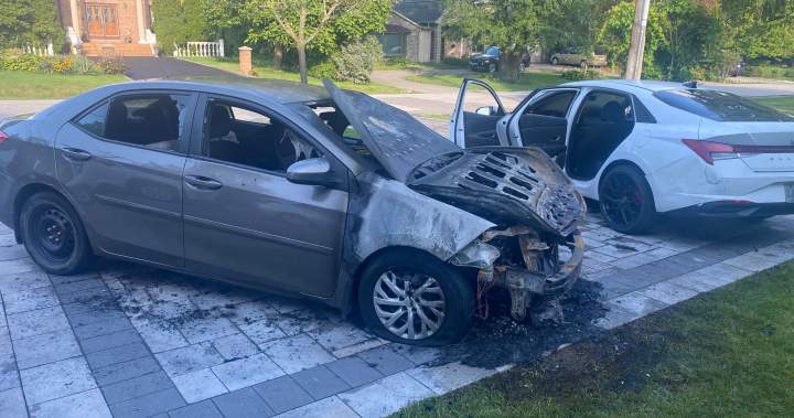Police investigate triple vehicle fire in Toronto neighbourhood as arson – Toronto