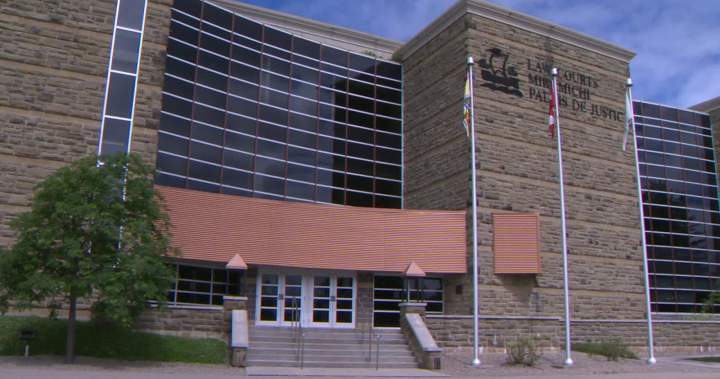 Complaint against New Brunswick lawyer’s use of AI part of growing trend: experts – New Brunswick