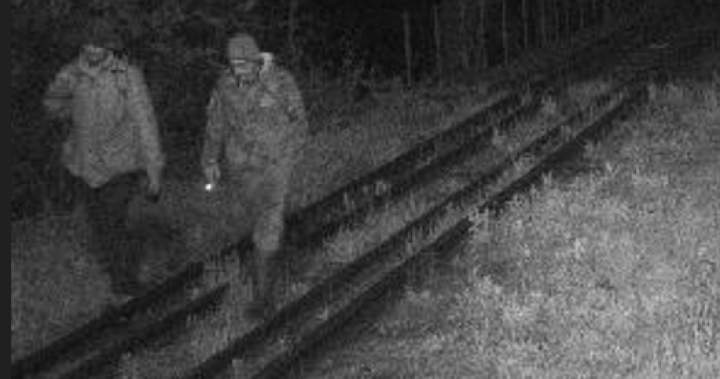 RCMP seeking 2 people after ‘suspicious activity’ at Canada-U.S. border – New Brunswick