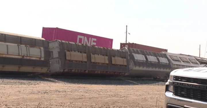 Train derailment in Regina rail yard under investigation