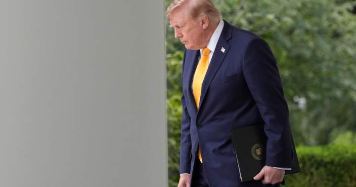 Would U.S. tariffs actually change after Trump, or is this the new normal? – National