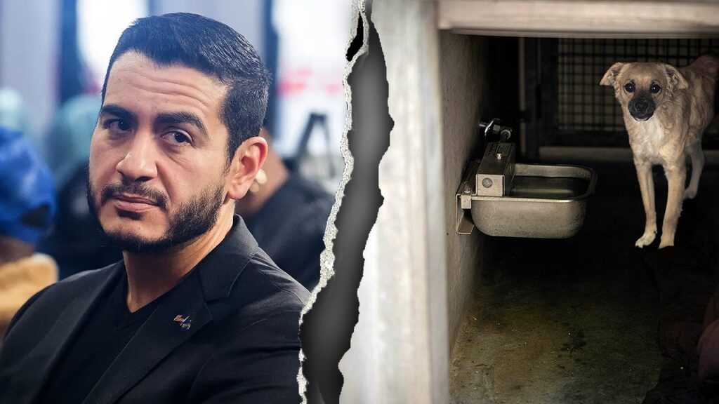 Dem Senate nominee’s Detroit record resurfaces after ‘dog slaughterhouse’ claims