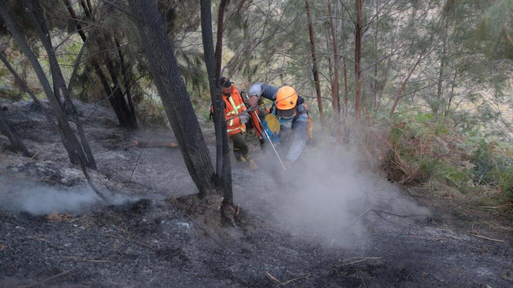 Crews mostly contain major Indonesian park blaze