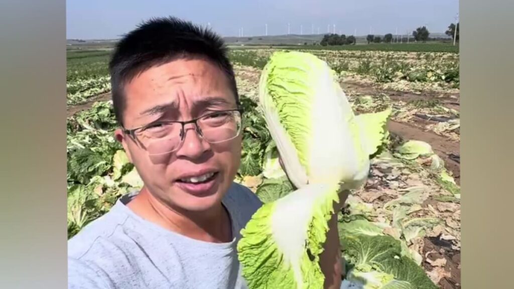 South Korea steps up checks as China probes formaldehyde-tainted cabbages