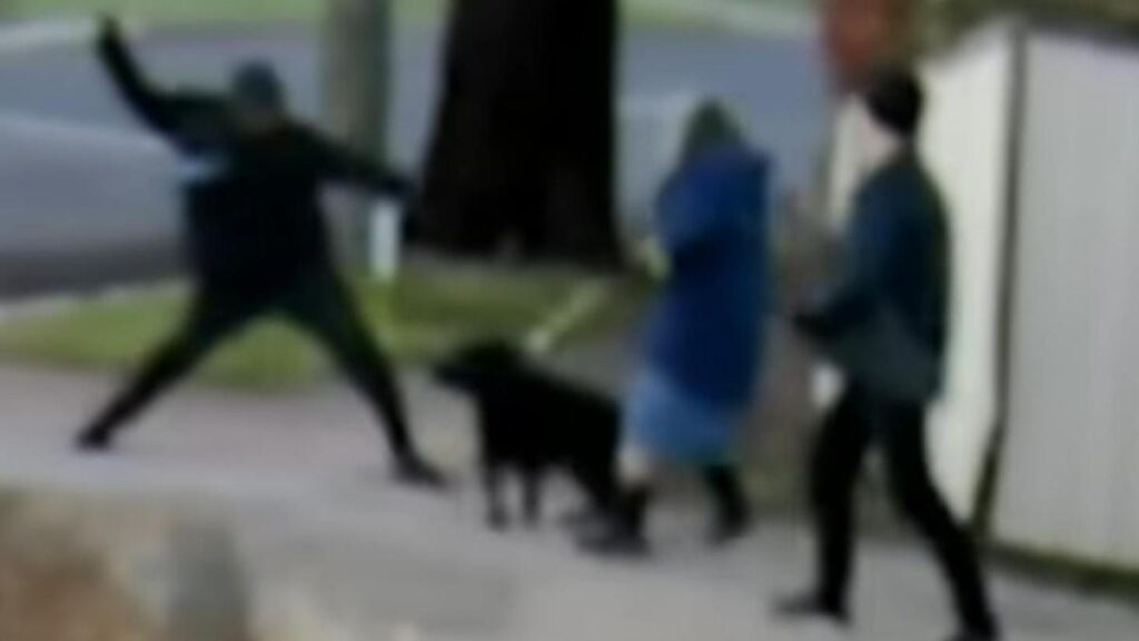 Couple allegedly stabbed on their morning walk through Adelaide