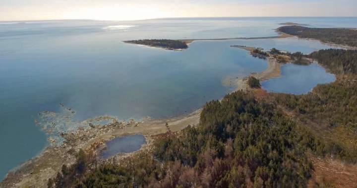 Whale sanctuary project secures 20-year Nova Scotia lease despite ongoing opposition – Halifax