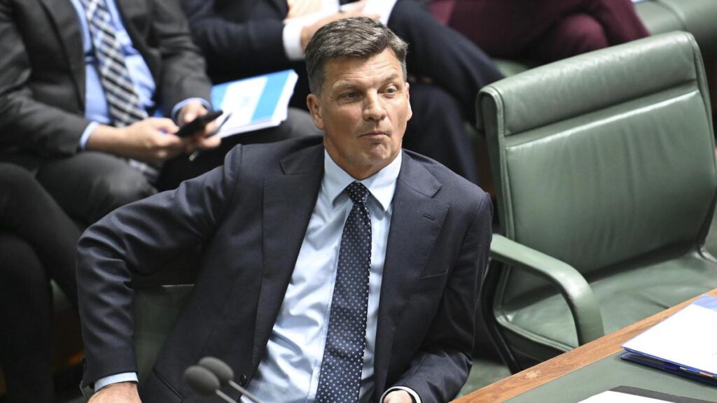 Liberals face ‘risky’ One Nation call as coalition will they, won’t they endures