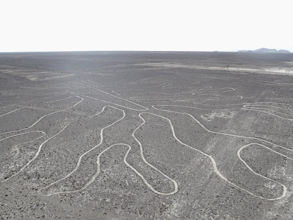Police say 13 killed as small plane viewing Nazca Lines in Peru crashes | Aviation News
