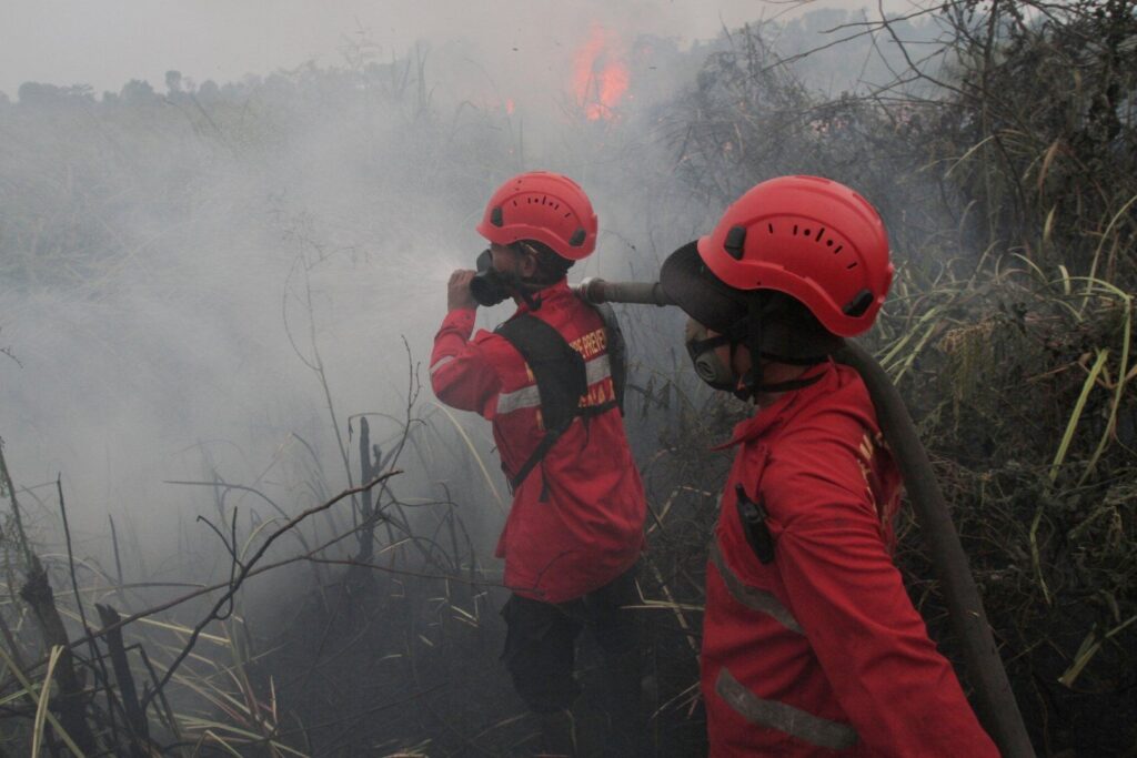 Wildfires on Indonesia’s Borneo island turn the air toxic | Wildlife