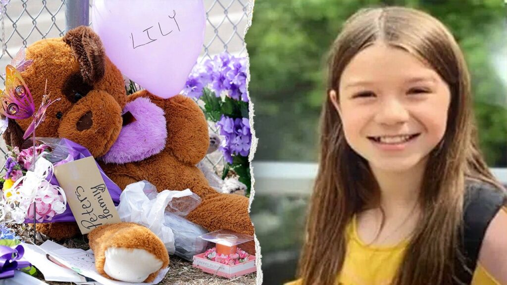 Lily Peters murder case resolution hearing may replace November trial