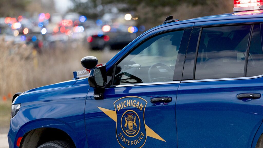 6 people dead after Michigan shooting in multi-scene attack, police say: reports