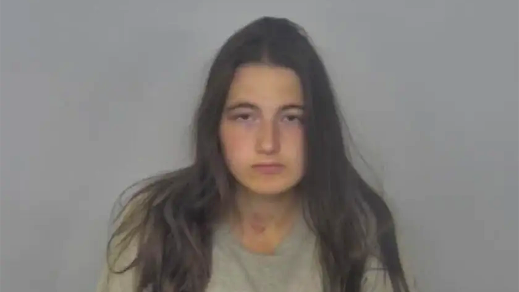 North Dakota mom accused of stabbing her 2 young children to death