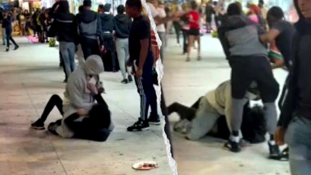 Fights erupt at Wisconsin State Fair on closing night, 7 arrested
