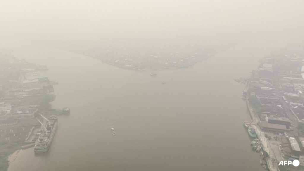 Indonesia closes 9 national parks temporarily following forest fires; prioritises firefighting in 6 provinces