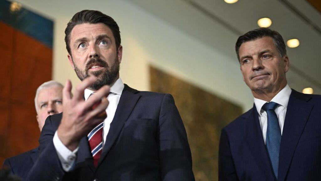 Push to criminalise flag burning ‘not about’ One Nation, Angus Taylor says