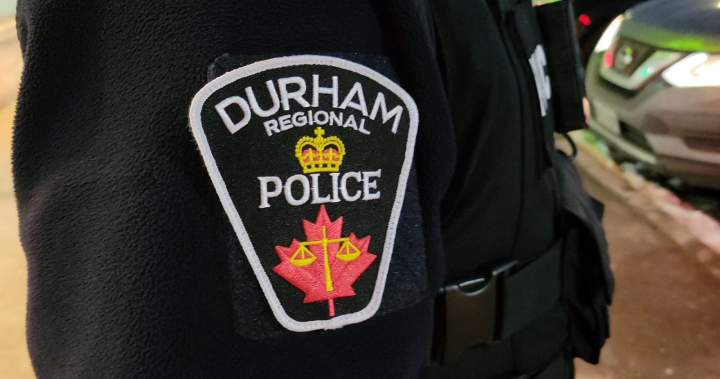 4 arrested, more than 200 charges laid in GTA theft investigation