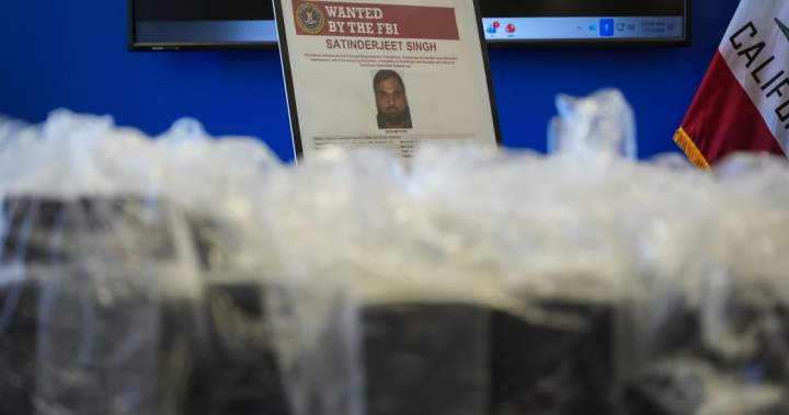 FBI adds man accused in Nijjar assassination to most wanted list