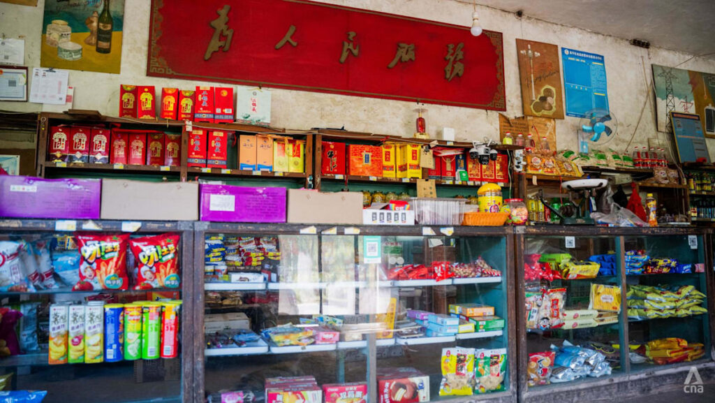 More than ordinary shops: China strengthens a decades-old network for an age of disruption