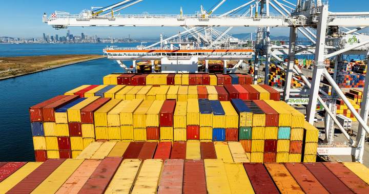 U.S. trade court scrutinizes Trump’s forced labour tariffs – National