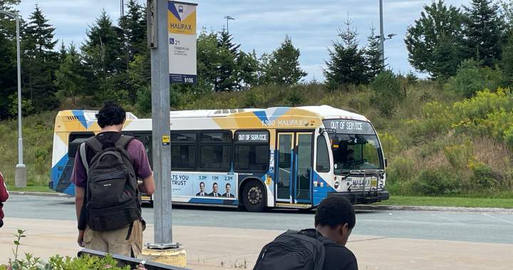 Free transit pass program for Halifax students to continue after funding uncertainty – Halifax