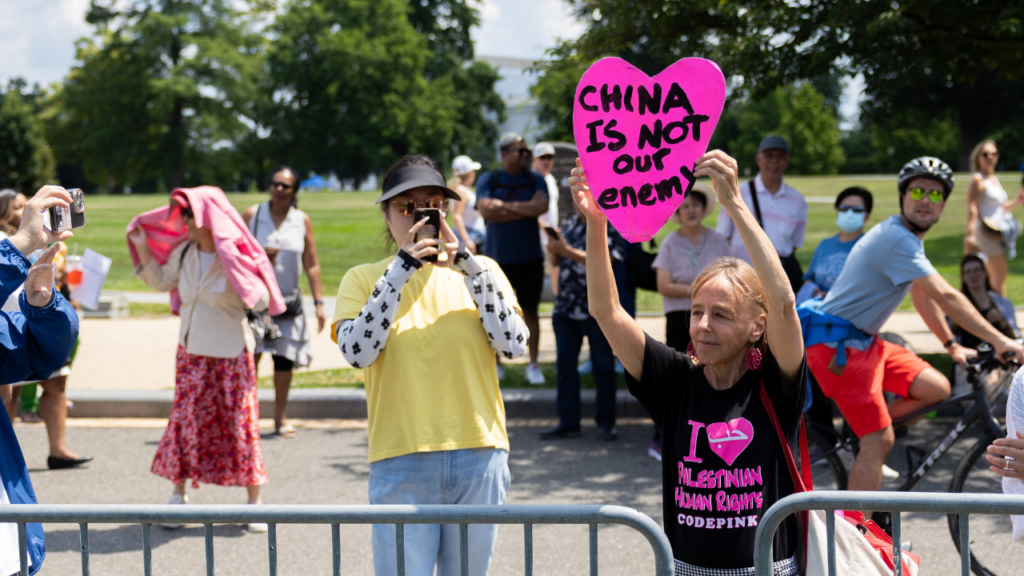 CodePink co-founder Medea Benjamin ejected from foreign influence hearing