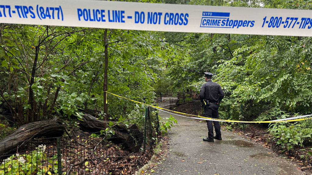 Woman found dead in Central Park as police race to solve mystery