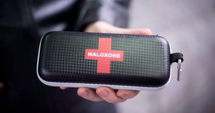 Advocates voicing concerns over rising drug overdoses in Manitoba – Winnipeg