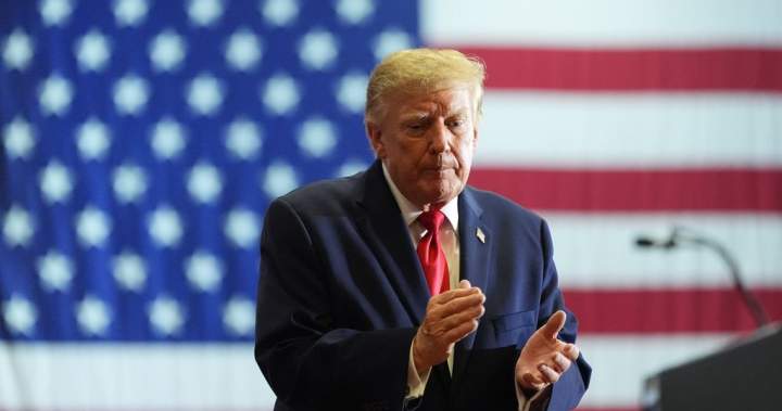 American officials have ‘concerns’ about Trump’s Canada attacks, MPs hear – National
