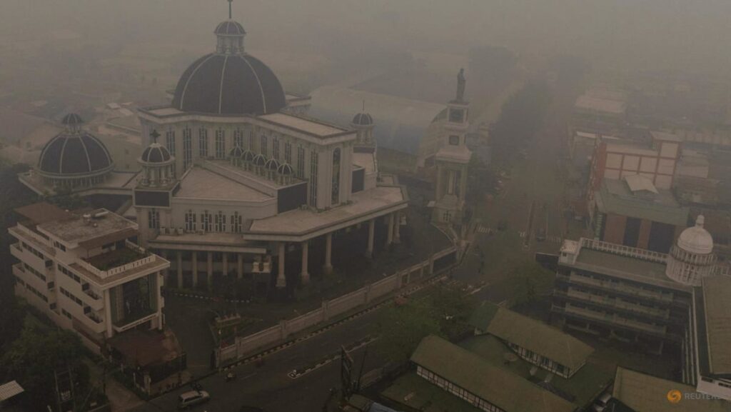 Indonesians on fire-ravaged island sue state for clean air