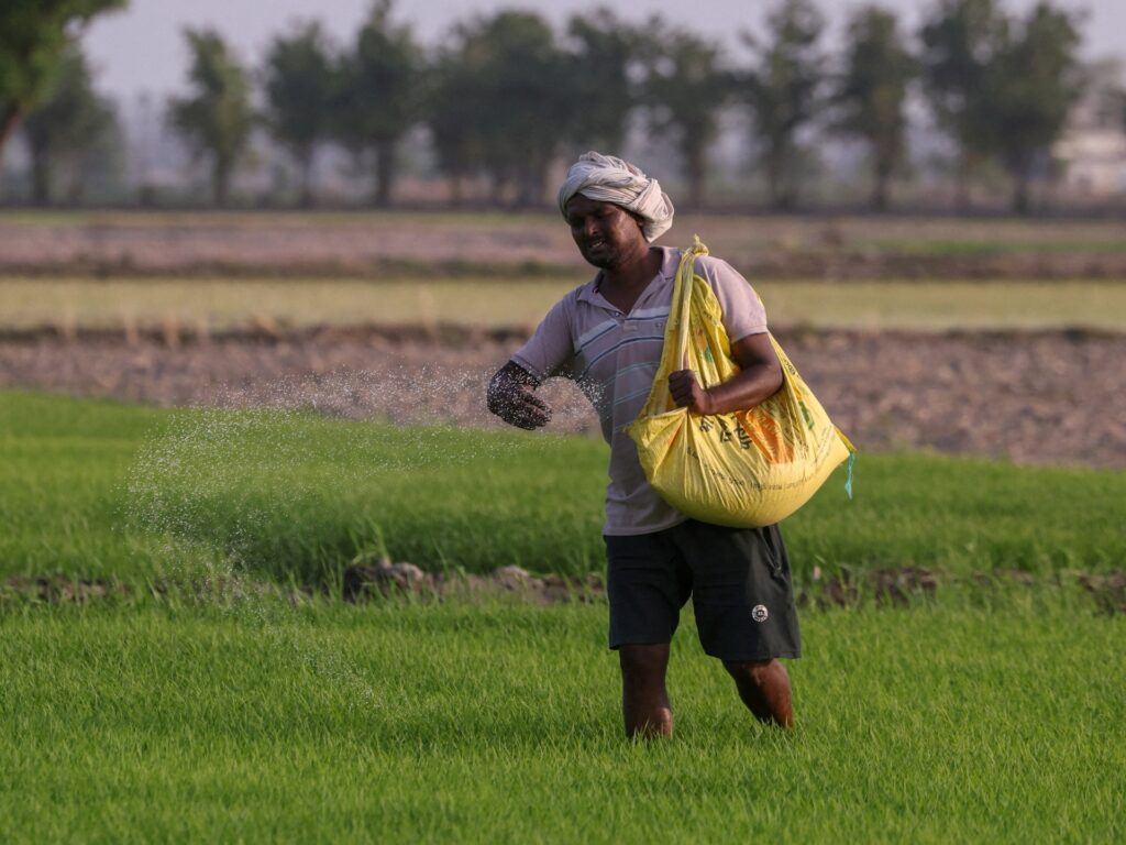 UN official warns of looming food crisis as Hormuz fertiliser plan stalls | Agriculture News